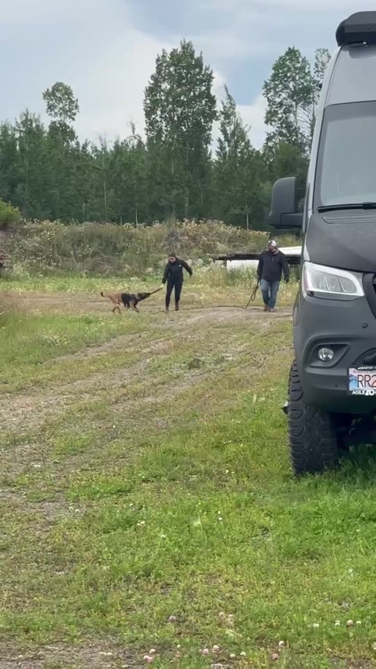 Handlers and a detection dog training beside a support vehicle