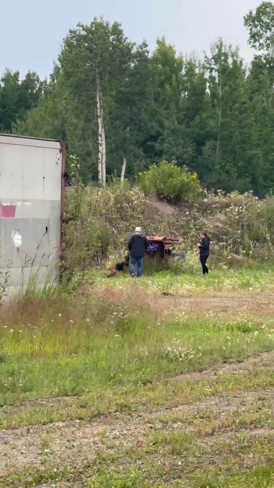 A team working a search pattern across rough ground