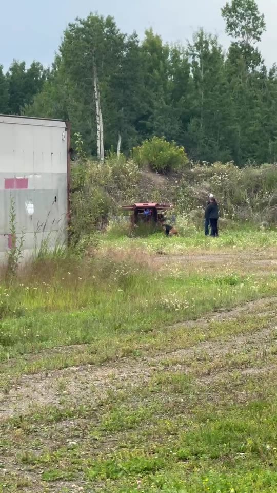 A team covering open ground beside heavy brush
