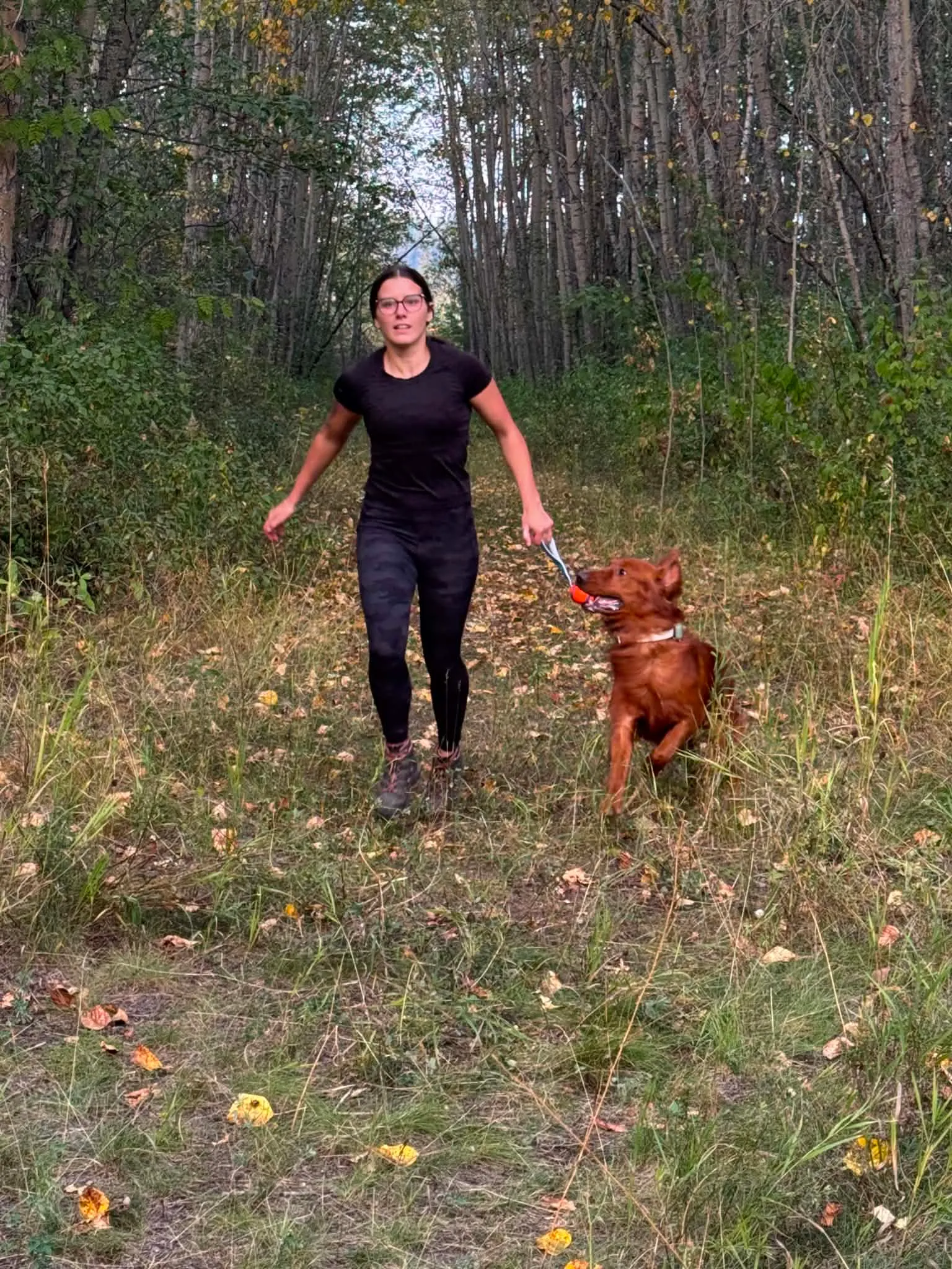 An NSRDS handler working a detection dog along a northern forest trail