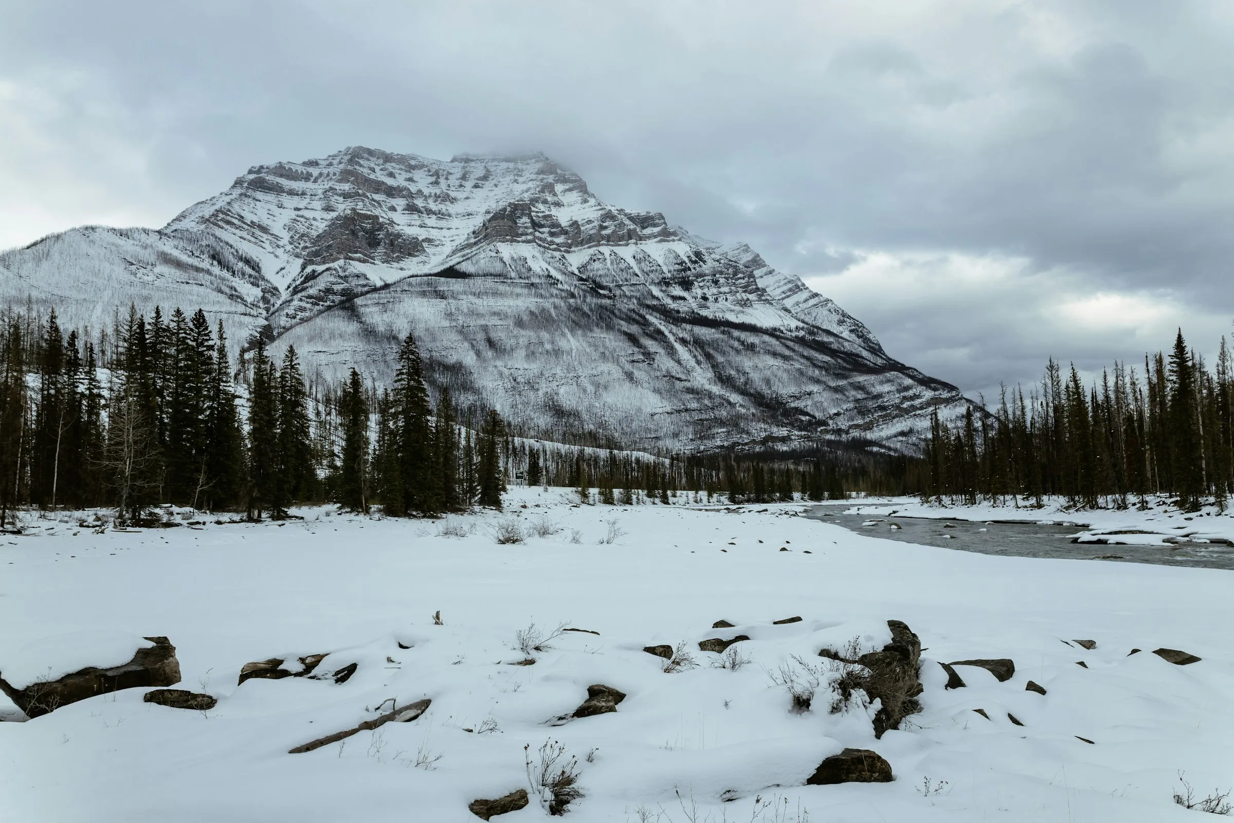 Snow-covered mountain above an evergreen treeline and a winter river in northern British Columbia